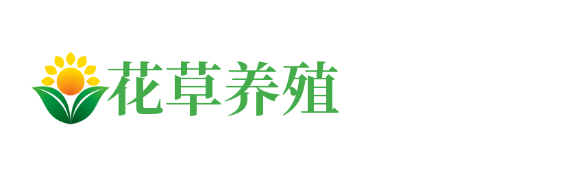 武汉武昌小雨伞_武汉武昌【买保险_保险咨询_理财保险_医疗保险】_李静（zbshbxw.cn）