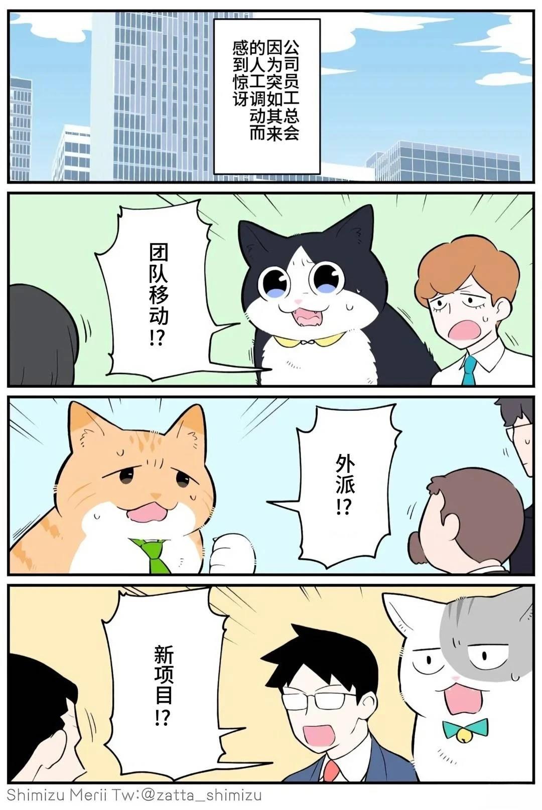 黑心企业的职员变成猫之后人生有了转变的故事 第5.1话 第2页