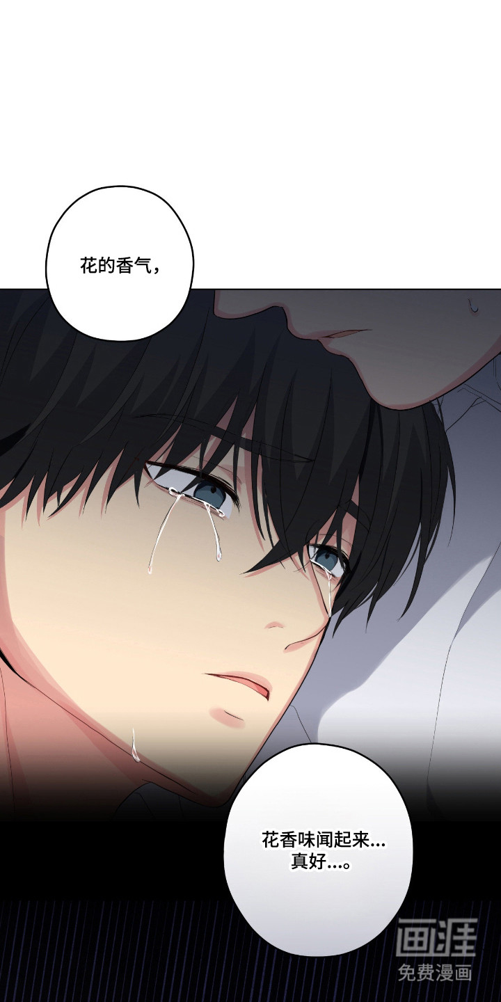 阴暗的幻觉 第67话 第25页