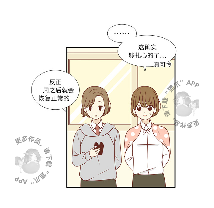 各自的春天 第1话_1 第16页