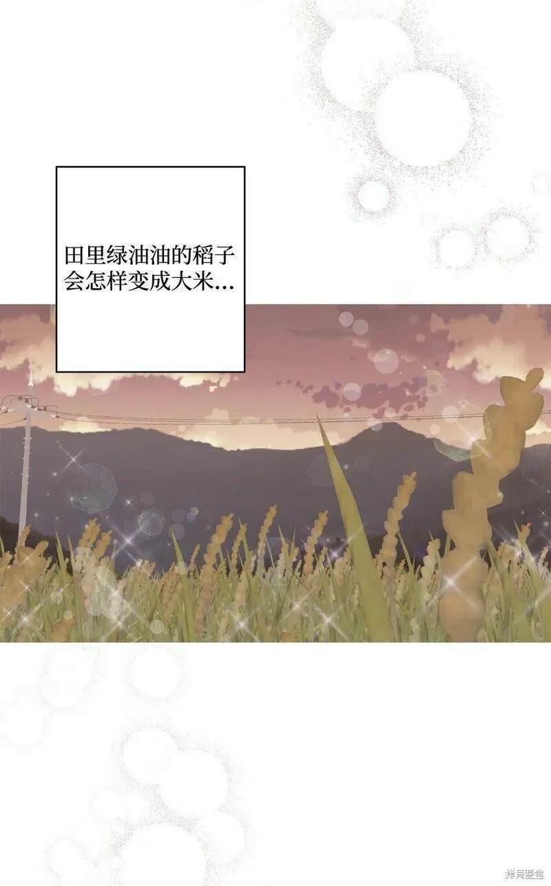偶然的田园日记 第26话 第69页