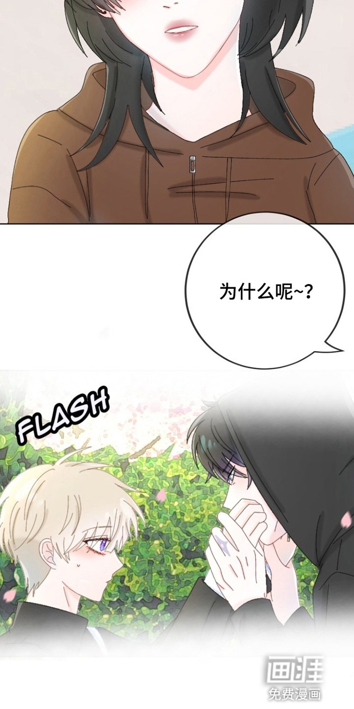 星坠于他 第11话 第11页