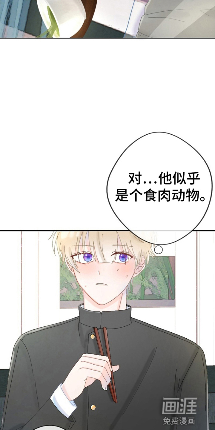 星坠于他 第4话 第12页