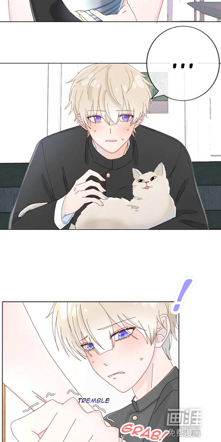 星坠于他 第4话 第19页