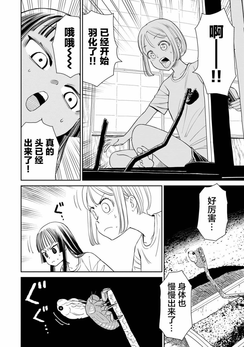 怠工之夏 第6话 第12页